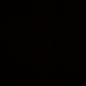 Meet your Posher, Nelly